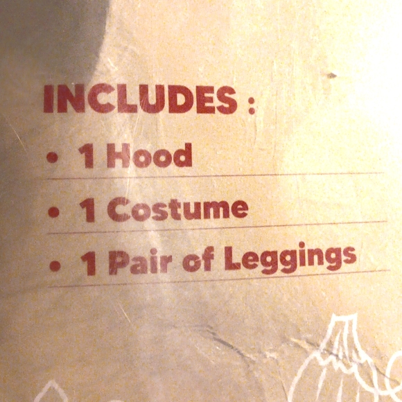 Pumpkin Costume - Picture 5 of 6